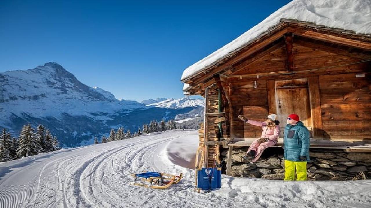 Bernese Oberland Winter Edition from Zurich (Private Tour)