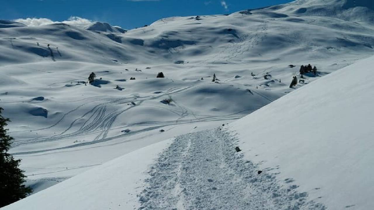 Sledding Ride and Fondue From Zurich (Private Tour)