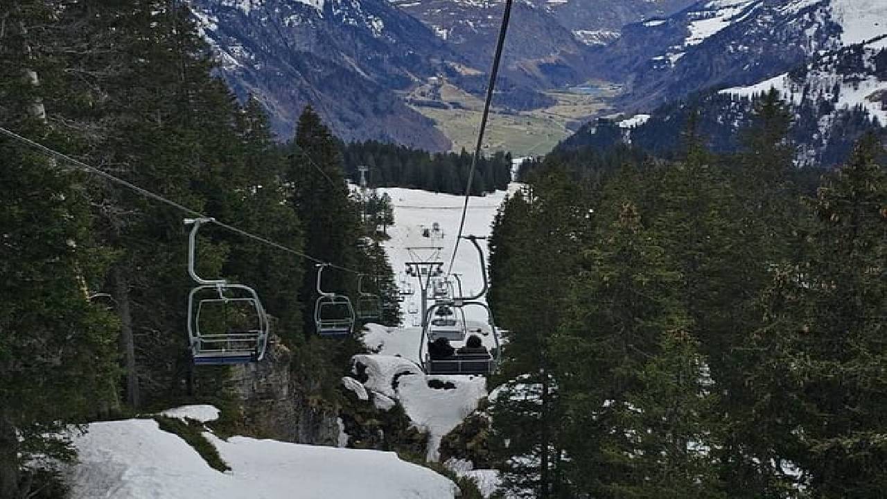 Sledding Ride and Fondue From Zurich (Private Tour)