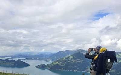 Snow Hike above Lake Lucerne and Fondue (Private Tour)