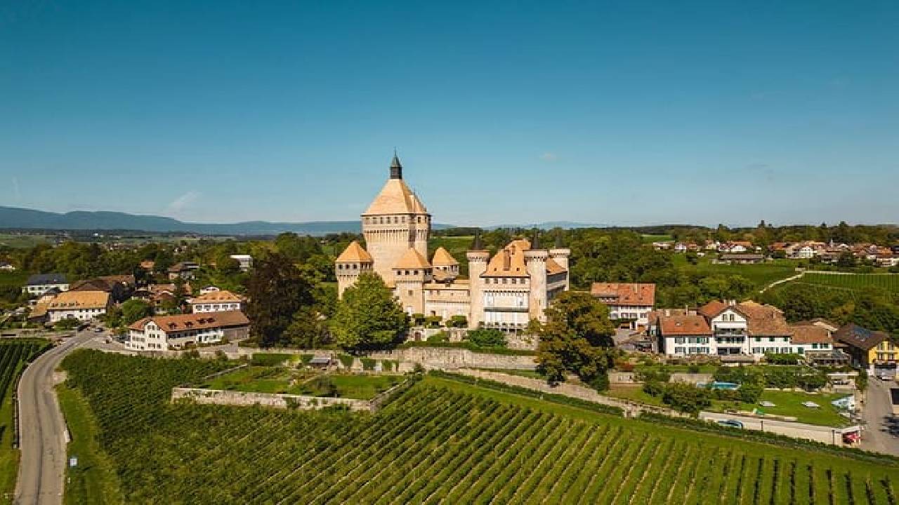 Swiss Riviera Day Trip (Private Tour)