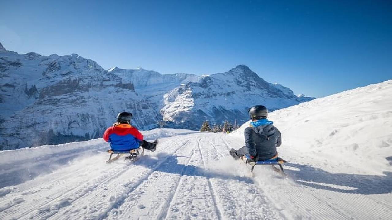 Winter Sledging Adventure (Private Tour)