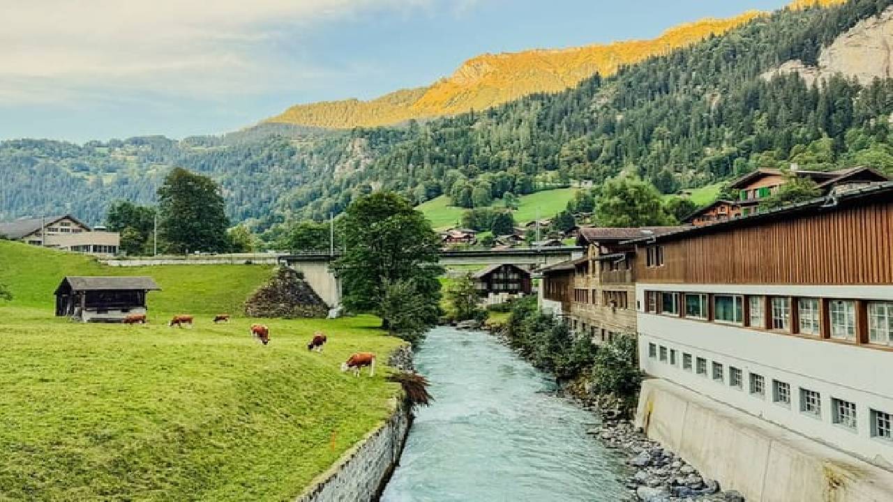 Best of Bernese Oberland & Swiss Countryside Tour (Private Tour)