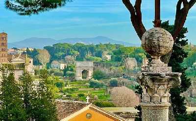 Best of Rome Private Walking Tour: Colosseum, Squares & Fountains