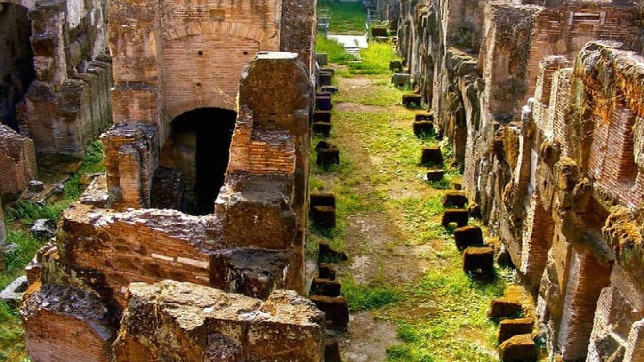 Colosseum Express Official Guided Tours All Included