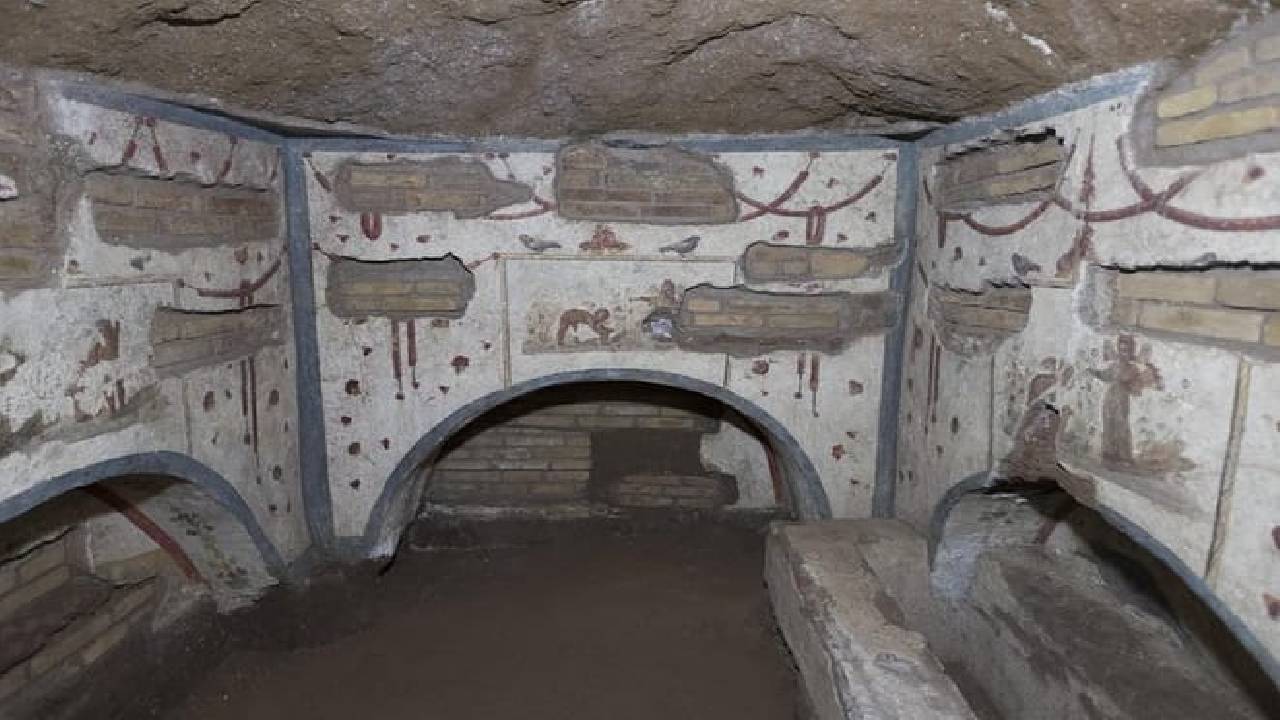 Rome Colosseum, & Catacombs Underground Tours Tickets & Transfer 