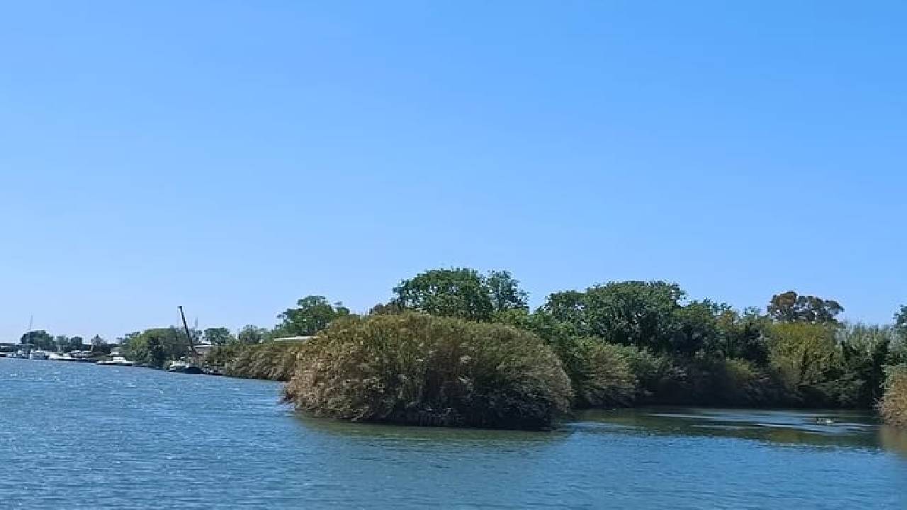Exclusive Ancient Ostia Boat River Cruise, Guided Tour From To Rome
