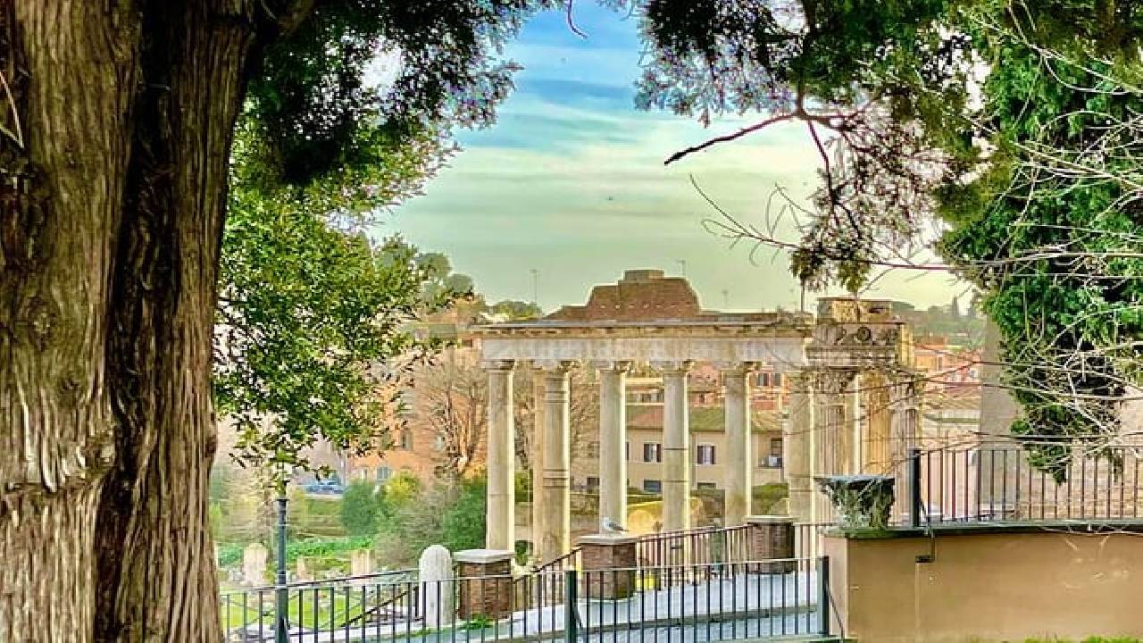 Rome Capitoline Museums Private Guided Tour and Panoramic Views