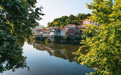 Guided Douro Valley Wine Experience with Lunch and Boat Cruise