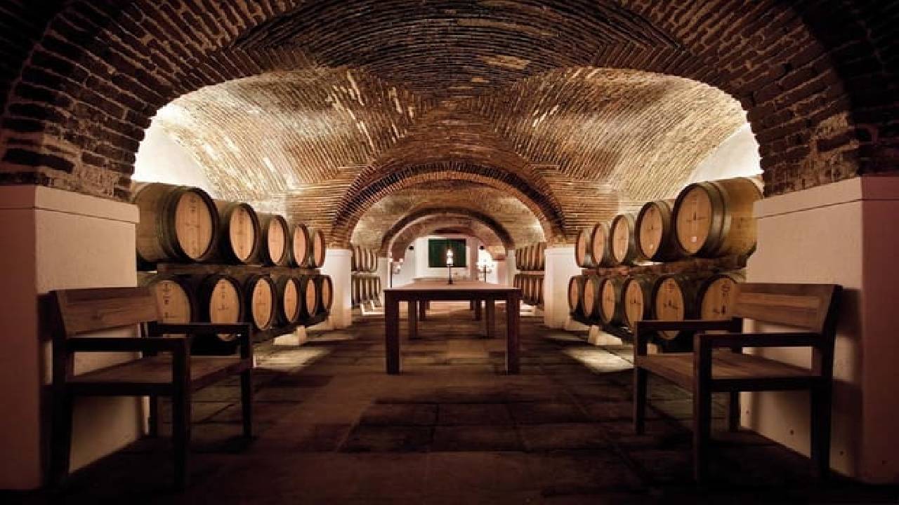 From Lisbon: Évora, Cathedral, Bones Chapel & Wine Tasting