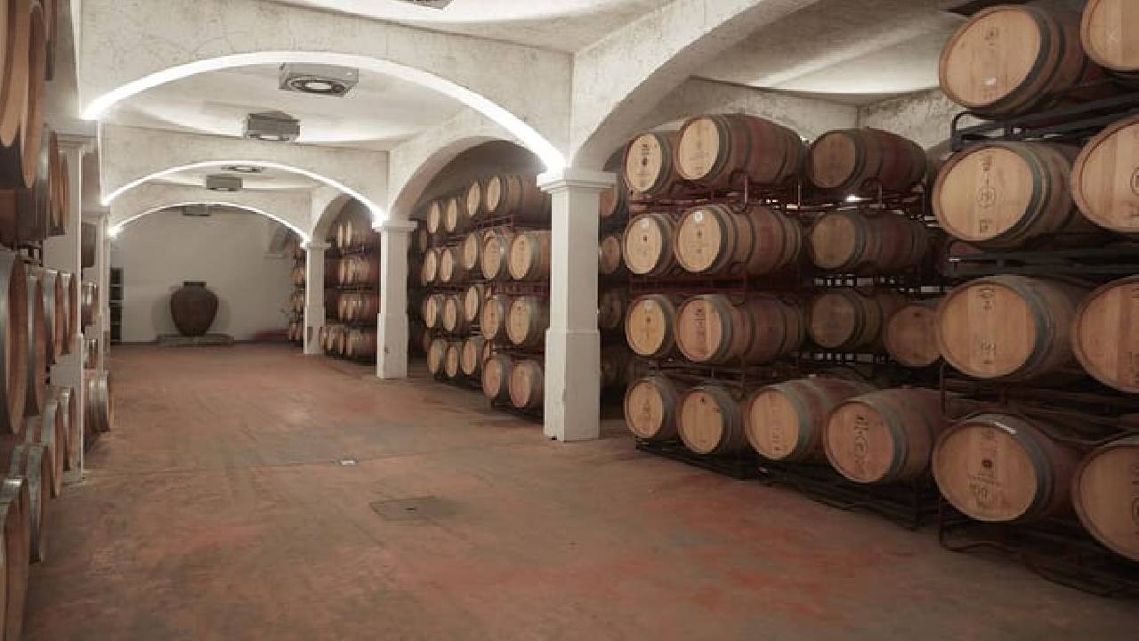 From Lisbon: Évora, Cathedral, Bones Chapel & Wine Tasting