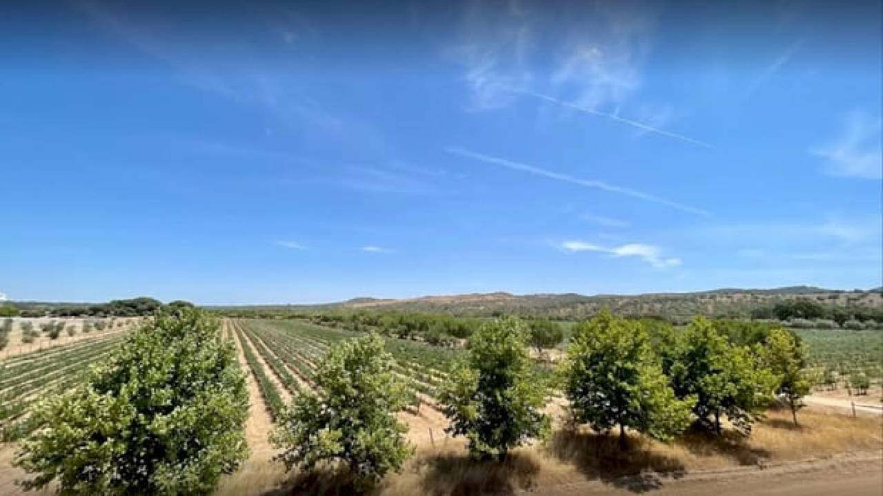 From Lisbon: Évora, Cathedral, Bones Chapel & Wine Tasting