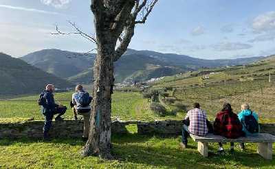 Douro Valley Trails & Vineyards Hiking Tour