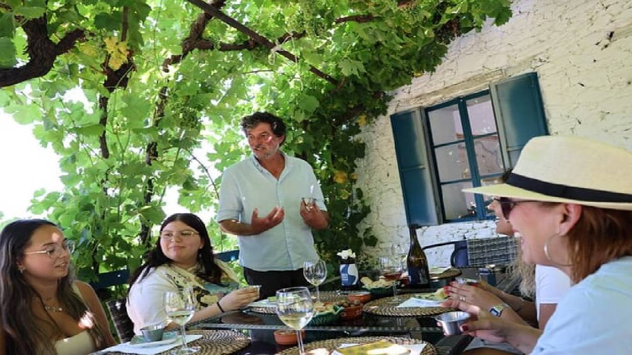 PRIVATE DOURO VALLEY: 2 boutique wineries, lunch & 1-h boat tour