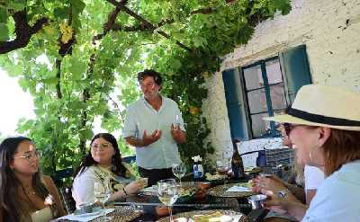 Private Douro Valley Tour: 2 Boutique Wineries, Lunch & 1-Hour Boat Cruise