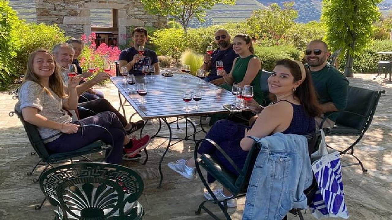 PRIVATE DOURO VALLEY: 2 boutique wineries, lunch & 1-h boat tour