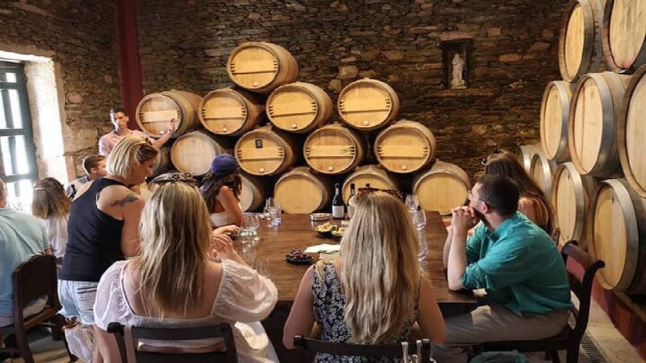 PRIVATE DOURO VALLEY: 2 boutique wineries, lunch & 1-h boat tour
