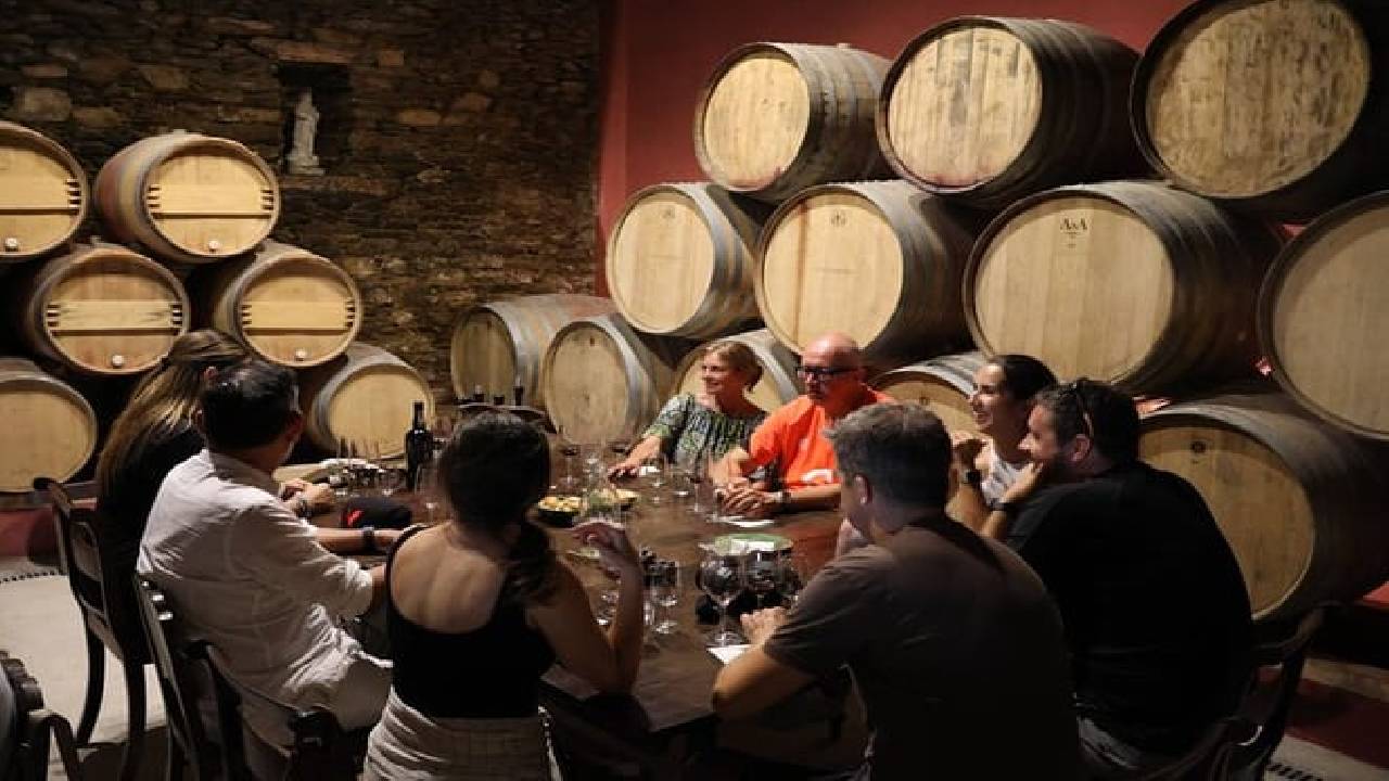 PRIVATE DOURO VALLEY: 2 boutique wineries, lunch & 1-h boat tour