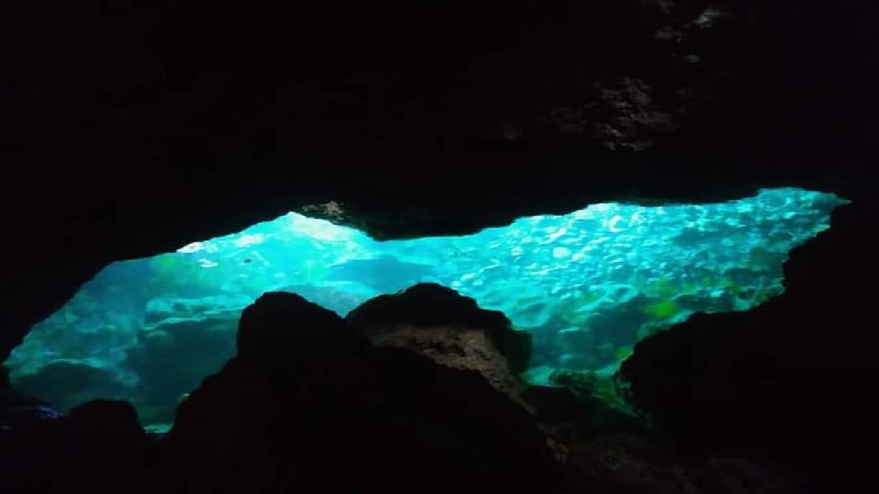 Award Winner Premium Kayak and Coasteering Adventure with Lunch
