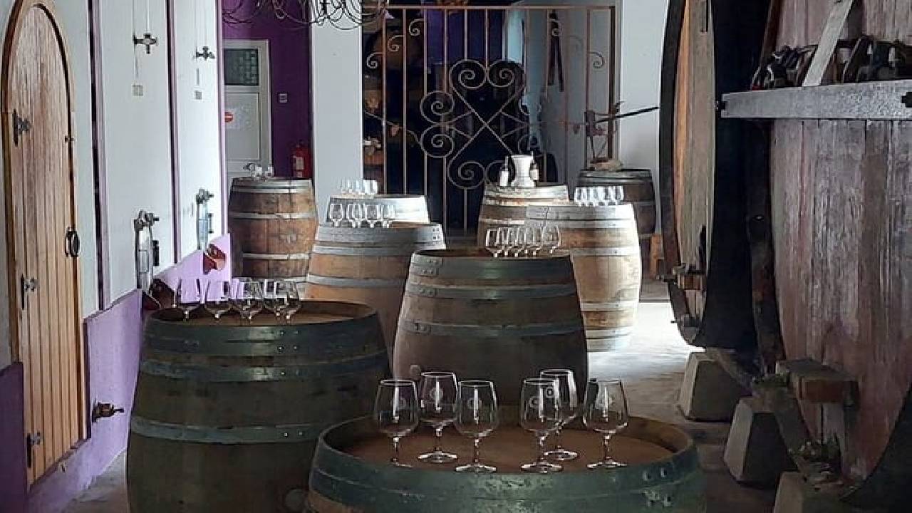 Bread, Wine&Cheese, The Natural Taste