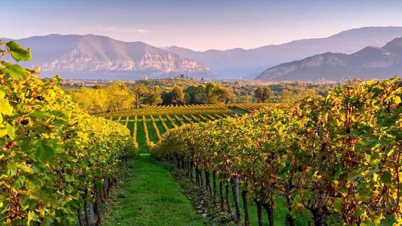 VIP Experience to Lake Iseo and Franciacorta Wine Tasting