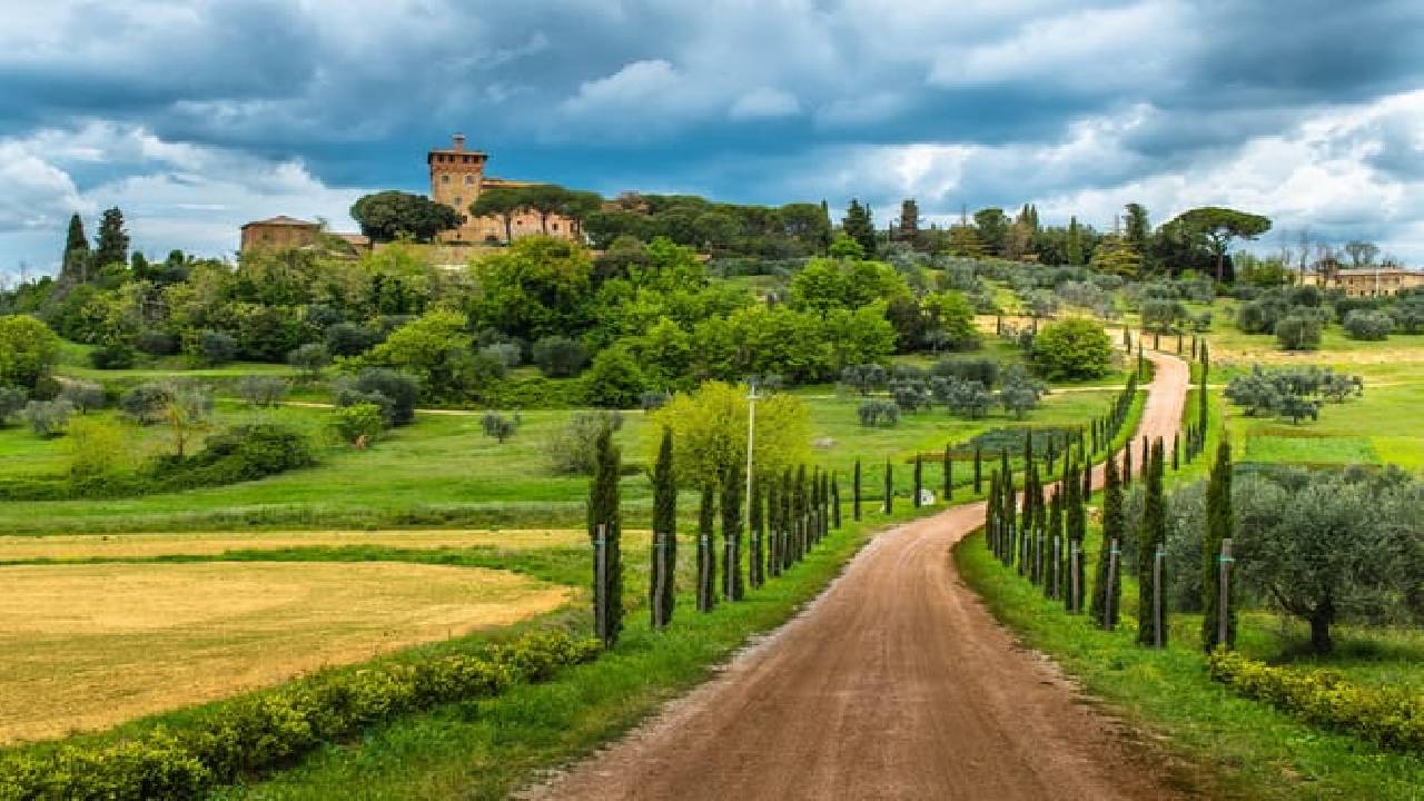 Half Day Escape to Chianti: Taste the Heart of Tuscany