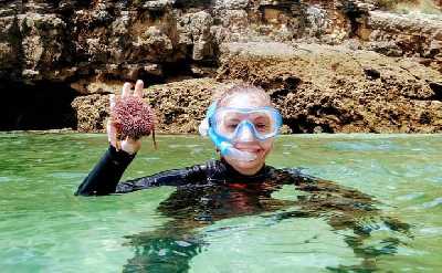 Arrábida Snorkeling Adventure with Transfer from Lisbon