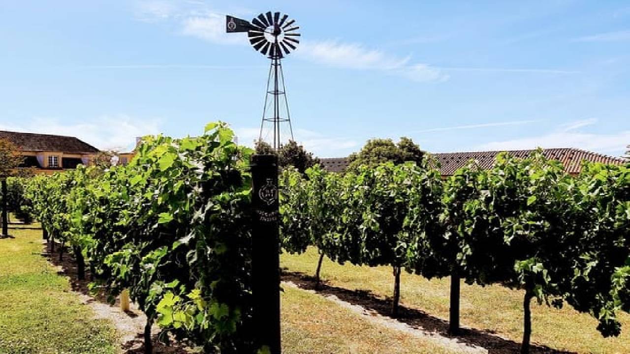 Lisbon´s South Sights & Wine Private Tour