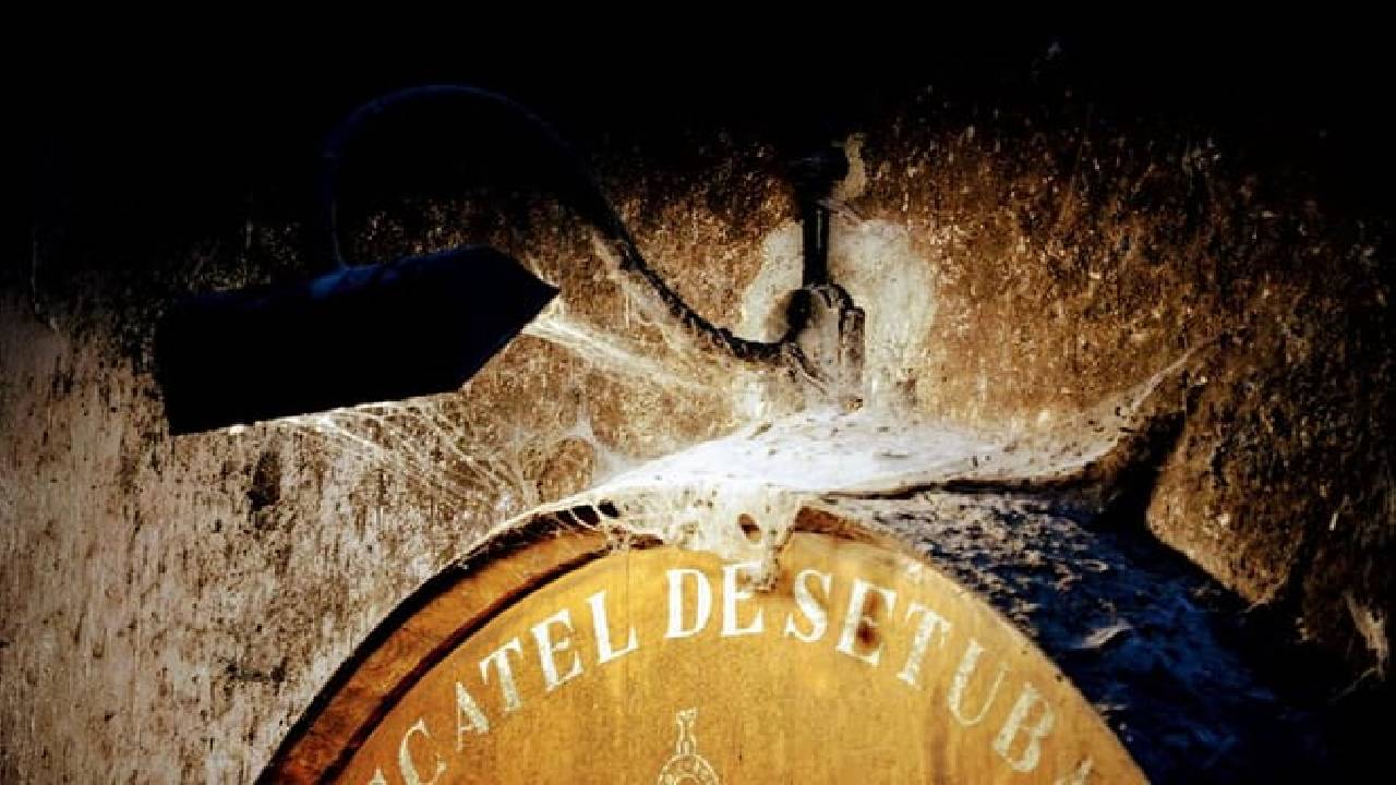 Lisbon´s South Sights & Wine Private Tour