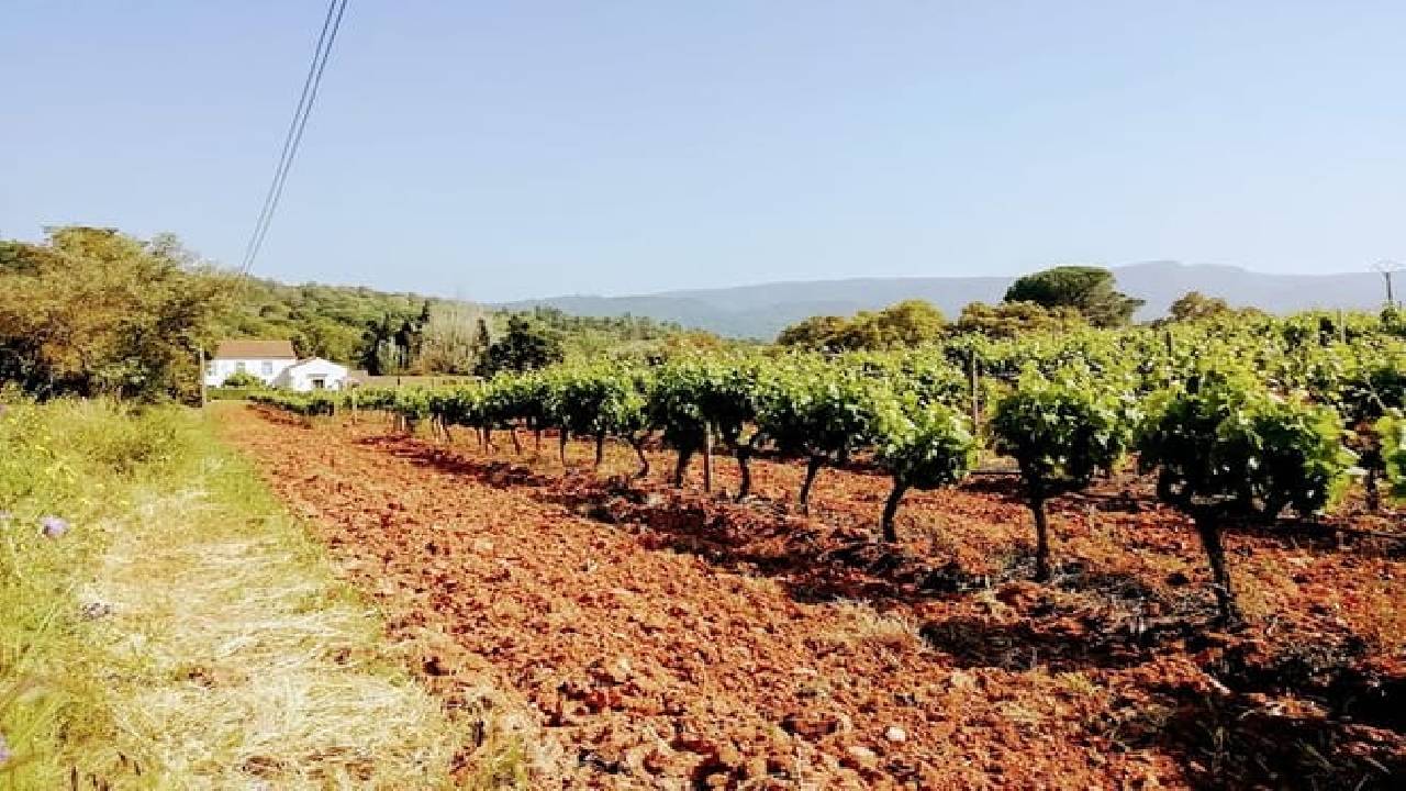 Lisbon´s South Sights & Wine Private Tour