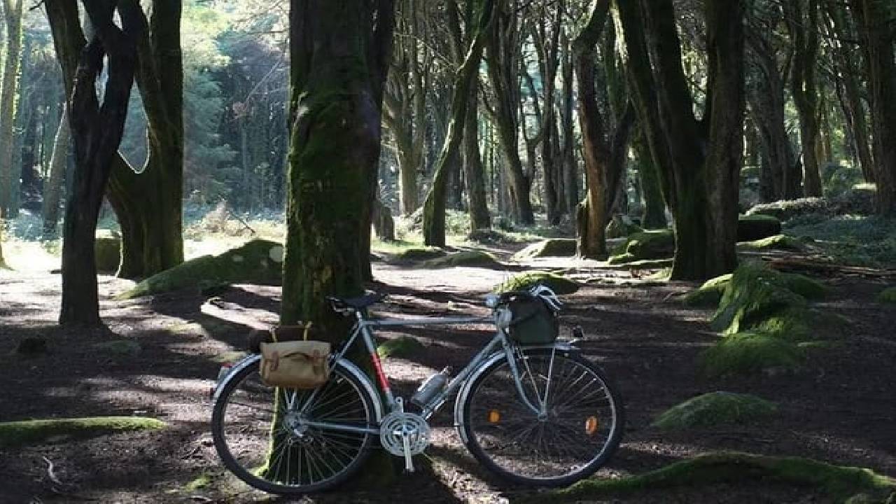 Monsanto Vintage Bike Tour