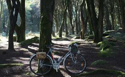 Monsanto Vintage Bike Tour