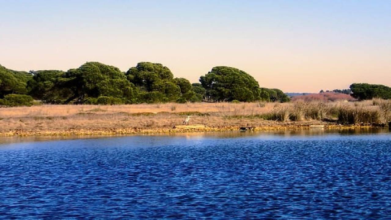 Stand Up Paddle Adventure at Lisbon