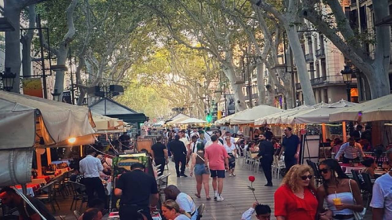 Barcelona 1.5h Private Old Town, Gothic & Ramblas Walking Tour