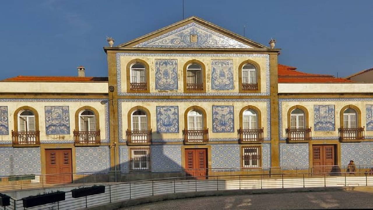 Aveiro Small-Group: Half Day Tour with Boat Ride