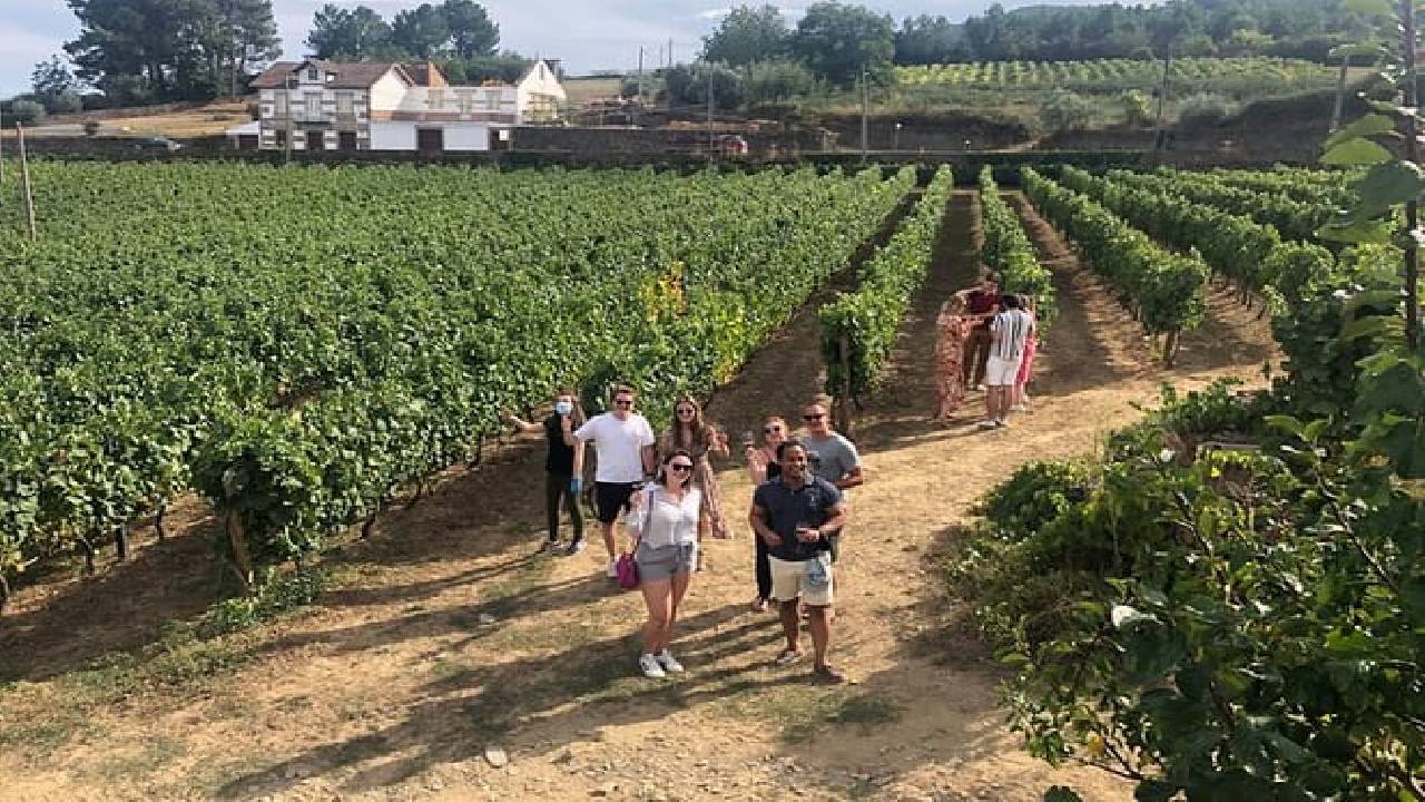 Douro Valley: Small-Group Tour Wine Tasting, Lunch & River Cruise