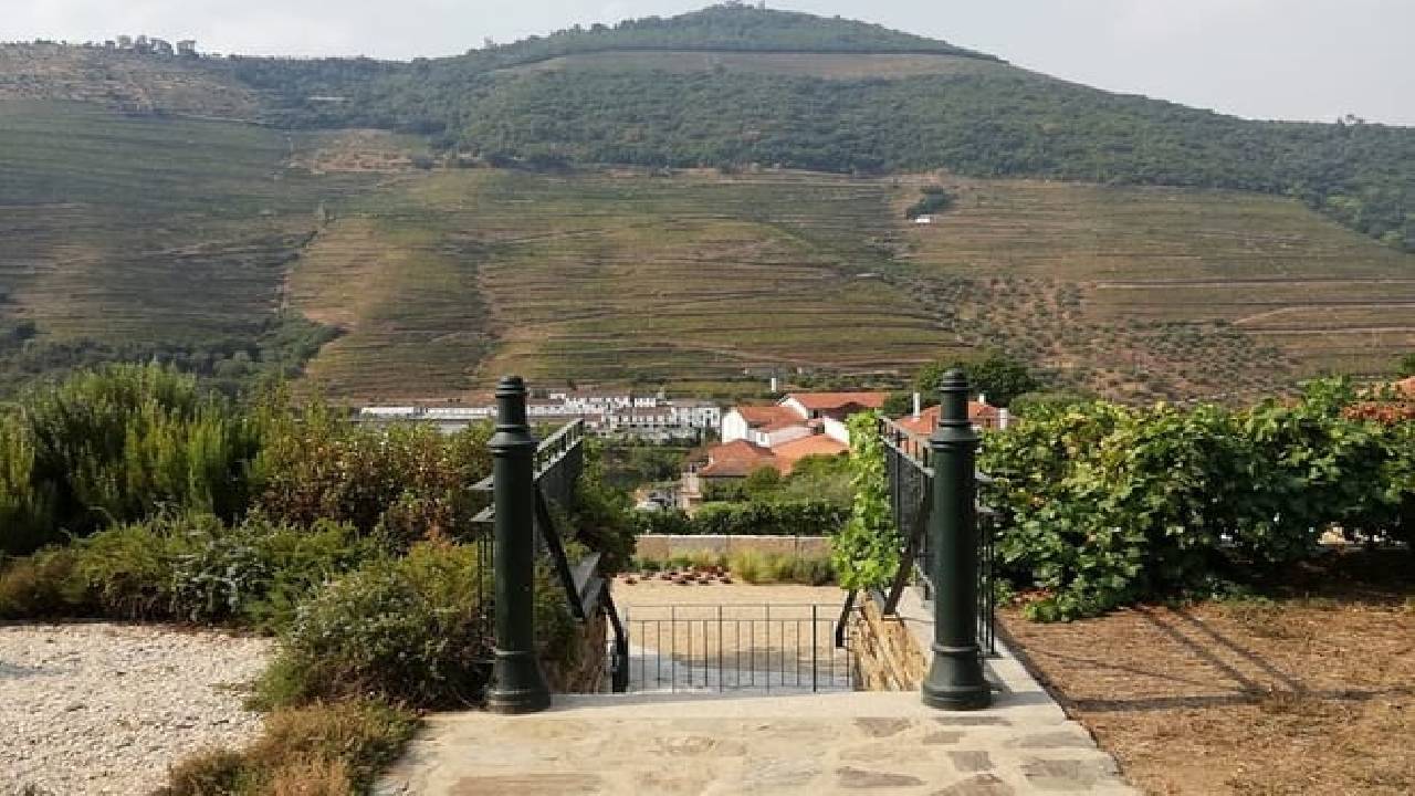 Douro Valley: Small-Group Tour Wine Tasting, Lunch & River Cruise