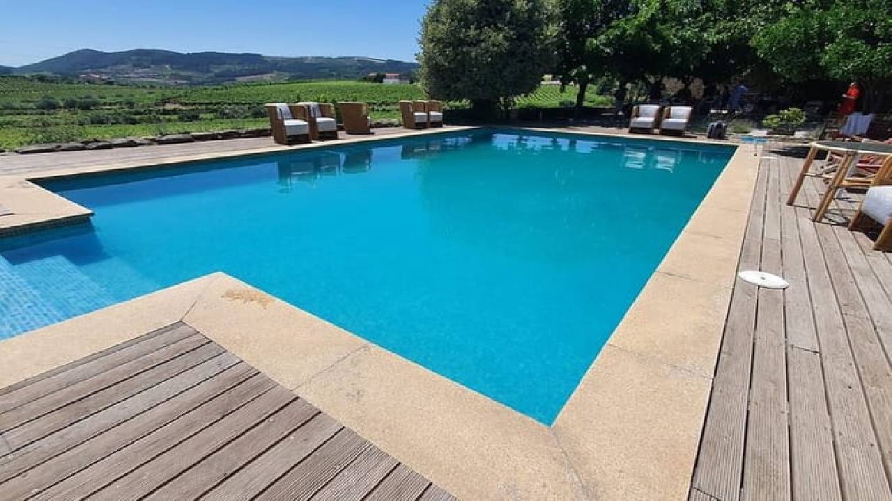 Douro Valley: Small-Group Tour Wine Tasting, Lunch & River Cruise