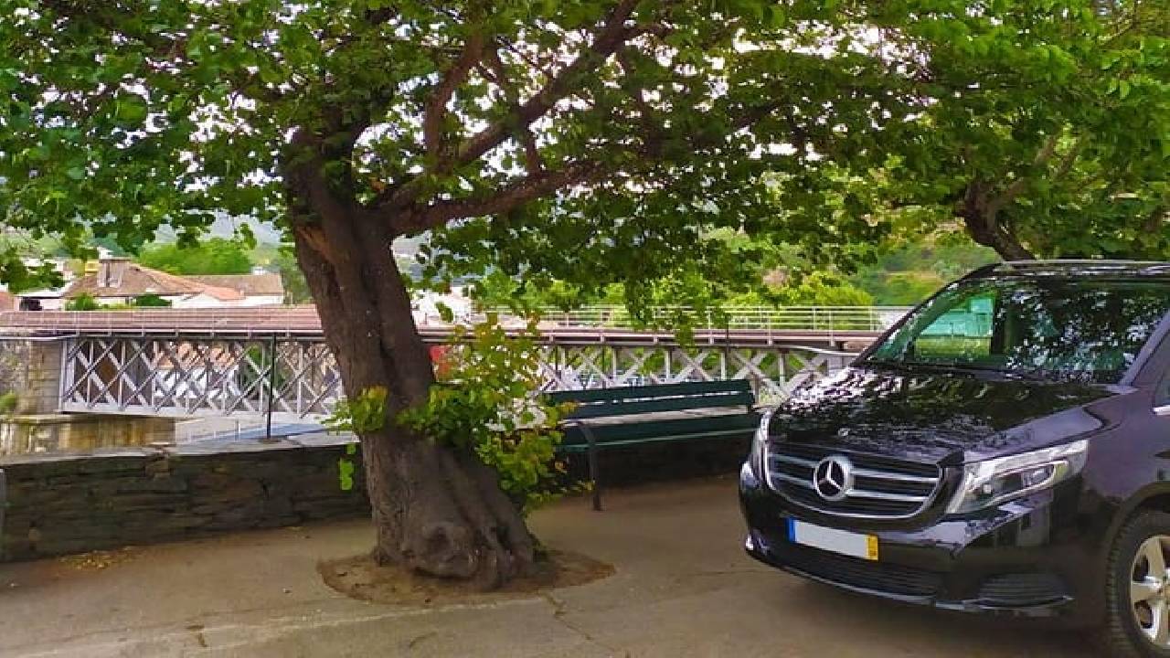 Wine Venture and Boat Trip in Douro Valley from Porto