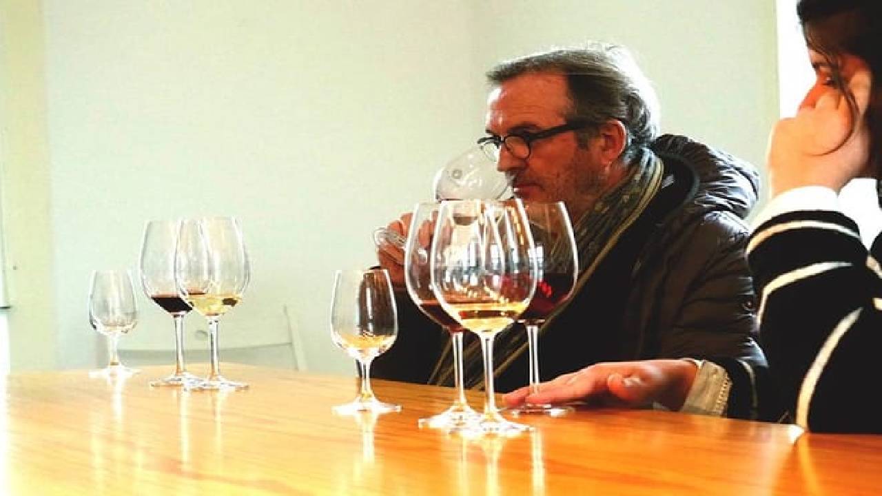 Wine Venture and Boat Trip in Douro Valley from Porto