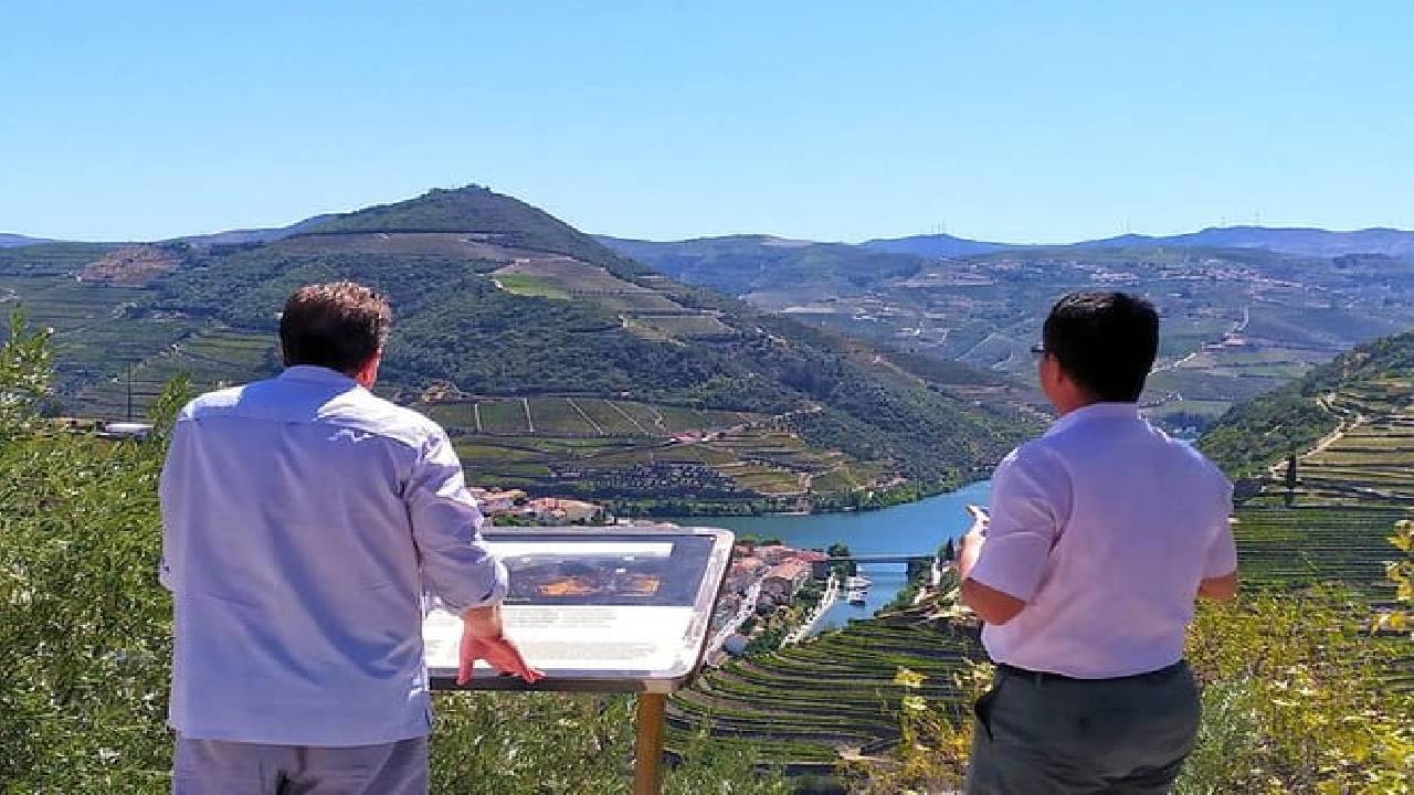 Wine Venture and Boat Trip in Douro Valley from Porto