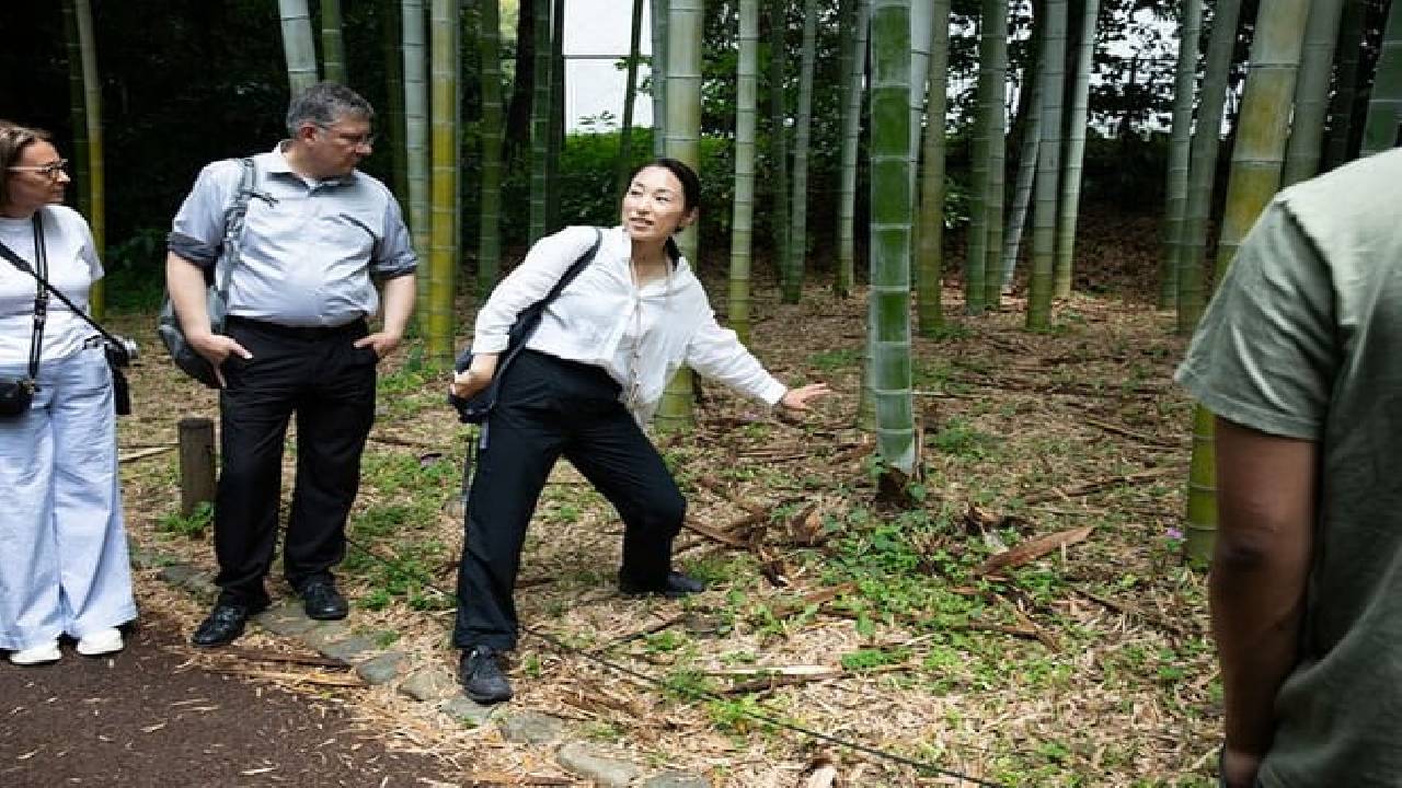 Imperial Palace East Garden and Edo Castle Walking Tour in Tokyo