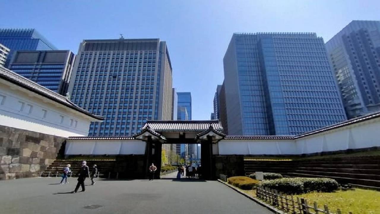Imperial Palace East Garden and Edo Castle Walking Tour in Tokyo