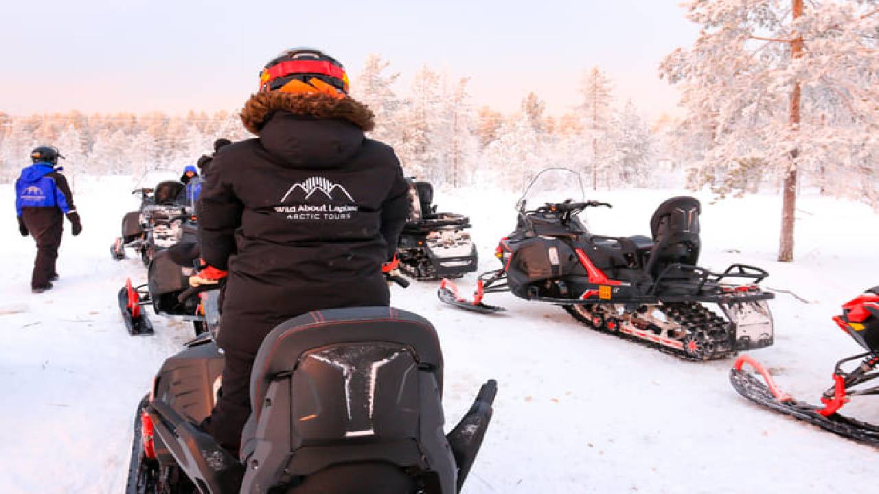 1-Hour Snowmobile Safari Adventure