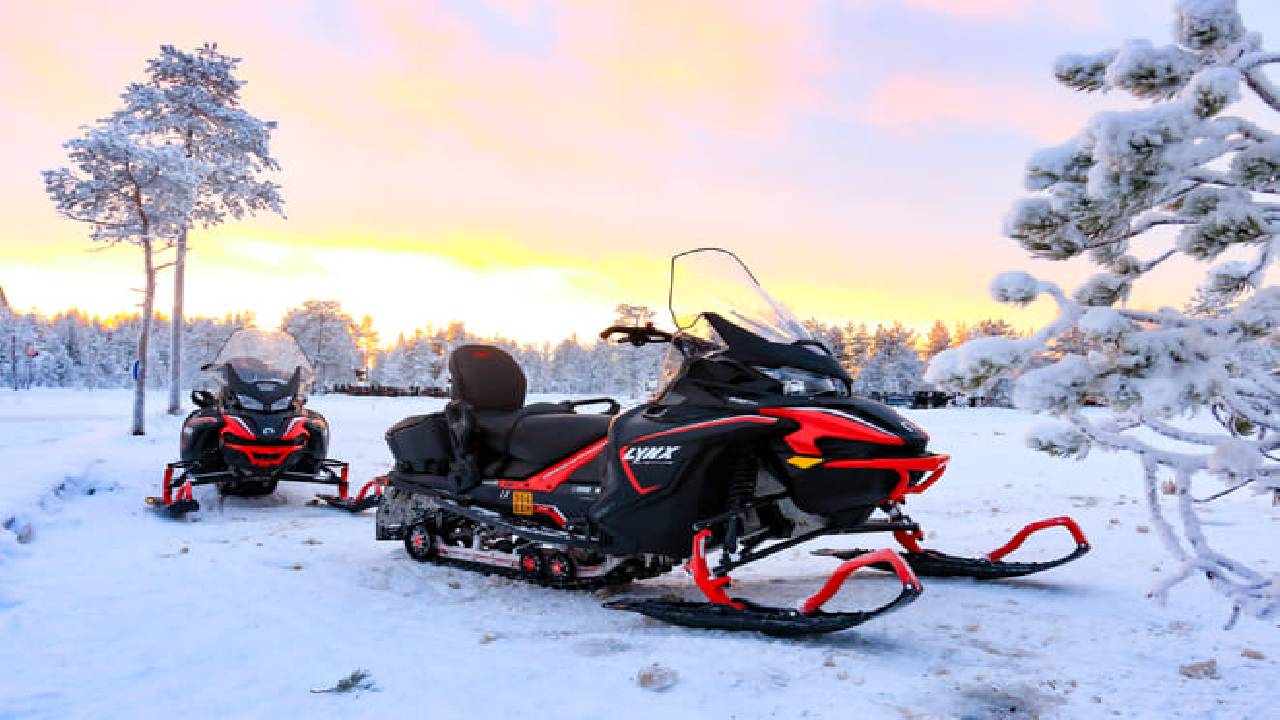 1-Hour Snowmobile Safari Adventure