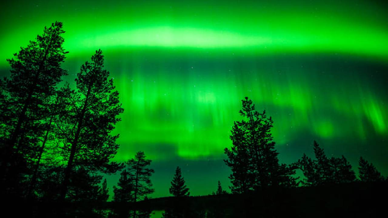 Family-Friendly: Northern Lights Adventure from Rovaniemi