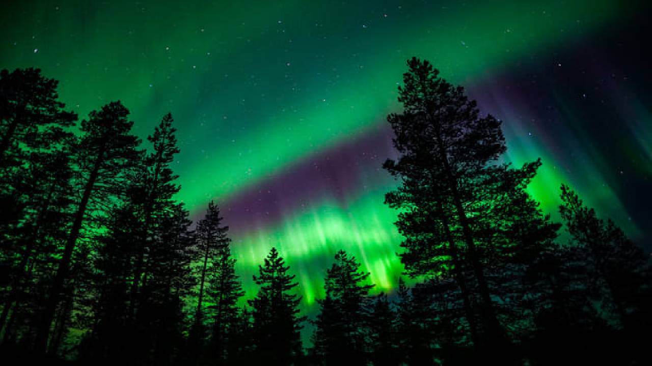Family-Friendly: Northern Lights Adventure from Rovaniemi