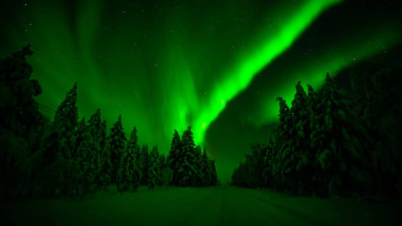 Family-Friendly: Northern Lights Adventure from Rovaniemi