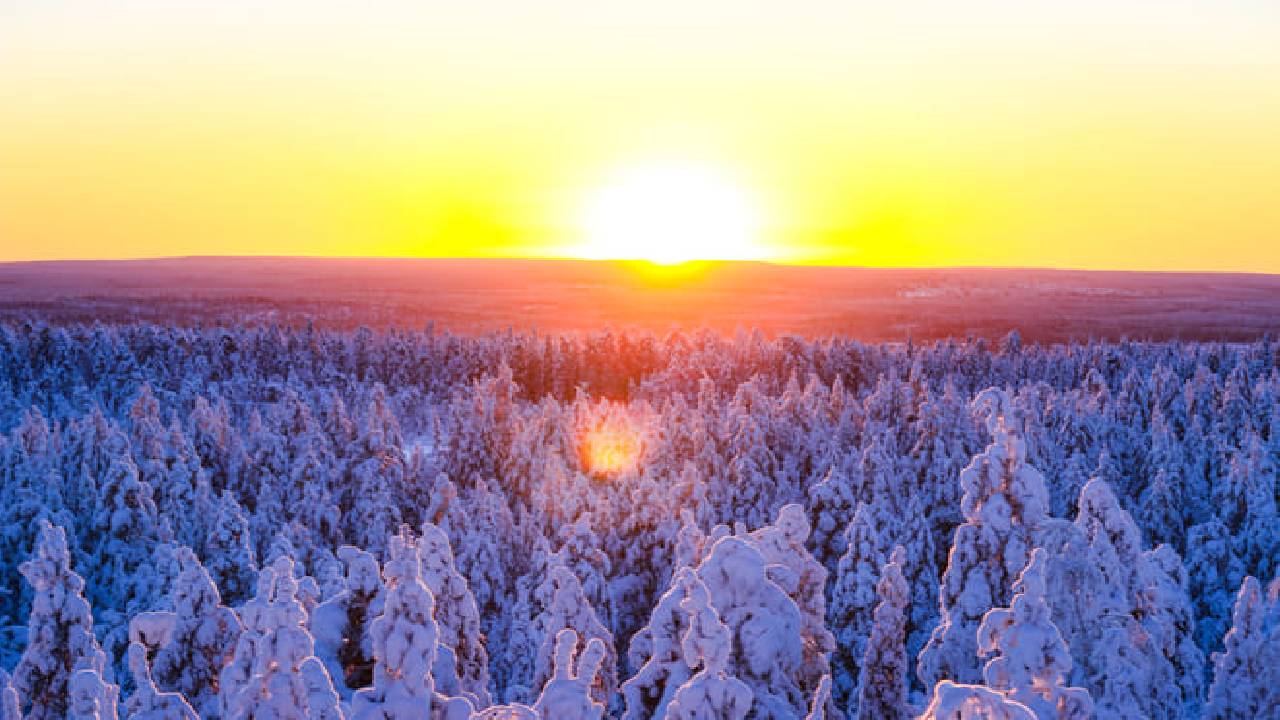 Snowmobile Adventure in Lapland