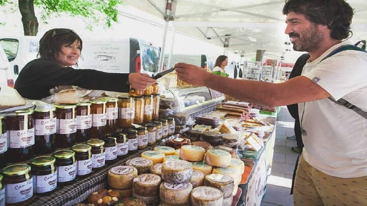 Montserrat Day Trip Private or Small Group with Basilica Tickets